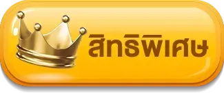 สิทธิพิเศษ mgm24